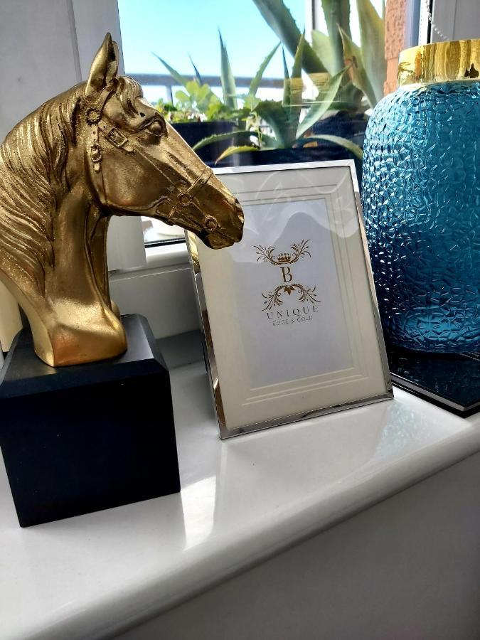 Unique Beige & Gold Apartments 科沃布热格 外观 照片